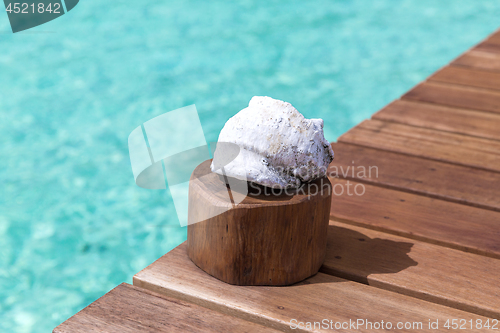 Image of seashell on wooden pier in sea water