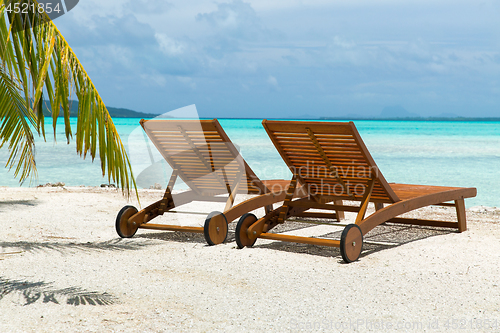 Image of tropical beach with palm tree and sunbeds