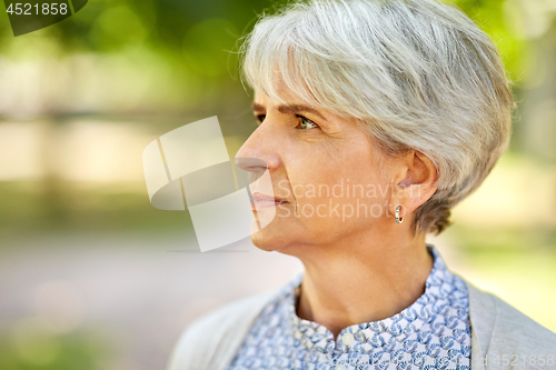 Image of portrait of senior woman at summer park