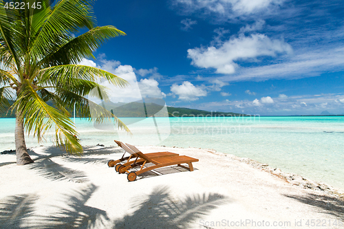 Image of tropical beach with palm tree and sunbeds