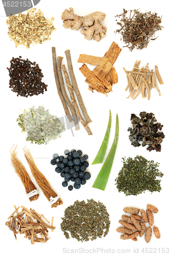 Image of Adaptogen Herb Spice and Berry Fruit Selection 