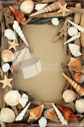 Image of Driftwood and Seashell Background Border