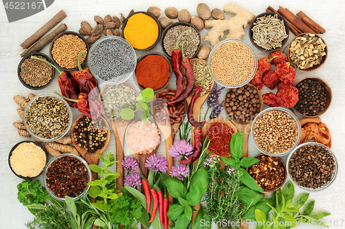Image of Spice and Herb Seasoning