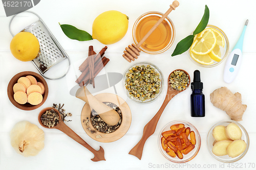 Image of Natural Ingredients for Cold and Flu Remedy