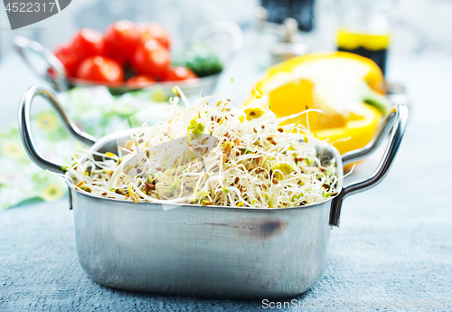 Image of Raw sprouts