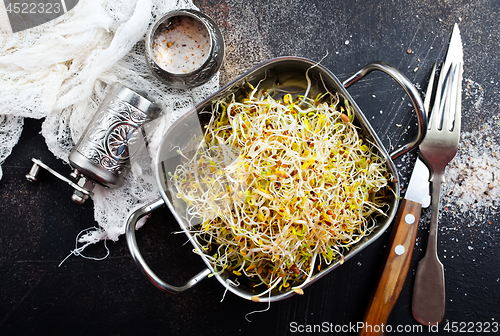 Image of Raw sprouts