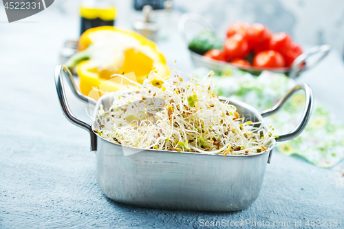 Image of Raw sprouts