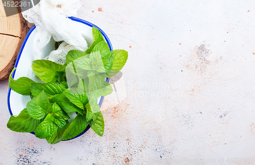 Image of fresh mint