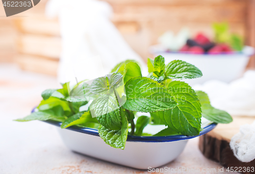 Image of fresh mint