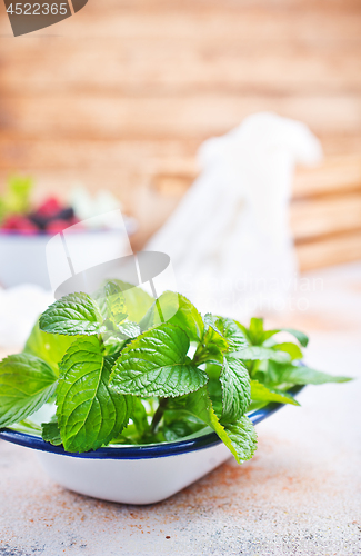 Image of fresh mint