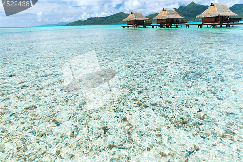 Image of bungalows on tropical resort of french polynesia