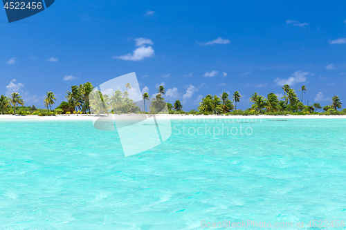 Image of tropical beach with palm trees in french polynesia