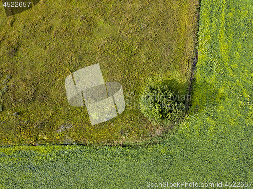 Image of Panoramic view from flying drones to agricultural fields with dirty trail and green bush. Top view.