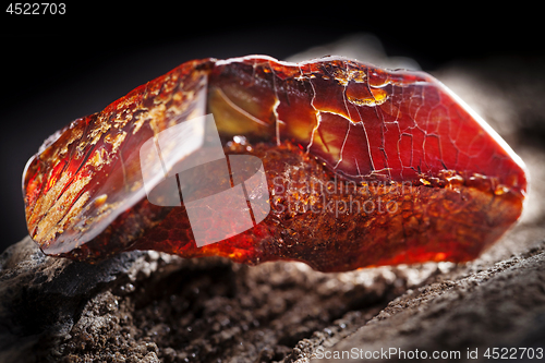 Image of Natural amber. A piece of dark red semi transparent natural amber on piece of stoned wood.