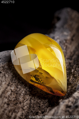 Image of Natural amber. A piece of yellow opaque natural amber on large piece of dark stoned wood.