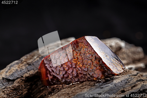 Image of Natural amber. A piece of dark red semi transparent natural amber on piece of stoned wood.