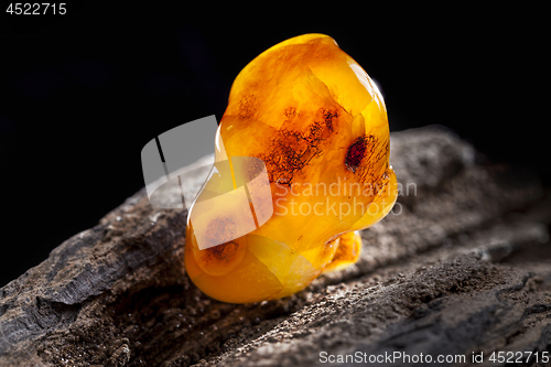 Image of Natural amber. A piece of yellow opaque natural amber on large piece of dark stoned wood.