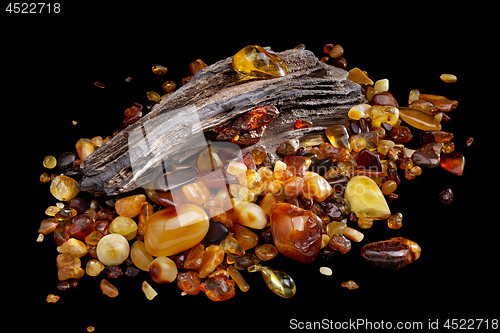 Image of Natural amber. Many pieces of different colors of natural amber on large piece of stoned wood.