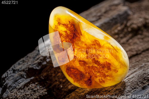 Image of Natural amber. A piece of yellow opaque natural amber on large piece of dark stoned wood.