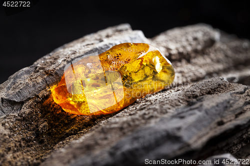 Image of Natural amber. A piece of yellow transparent natural amber on large piece of dark stoned wood.