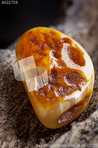 Image of Natural amber. A piece of yellow opaque natural amber on large piece of dark stoned wood.