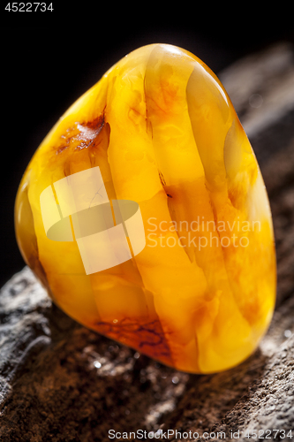 Image of Natural amber. A piece of yellow opaque natural amber on large piece of dark stoned wood.