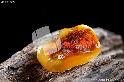 Image of Natural amber. A piece of yellow opaque natural amber on large piece of dark stoned wood.