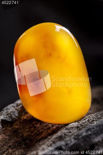 Image of Natural amber. A piece of yellow opaque natural amber on large piece of dark stoned wood.