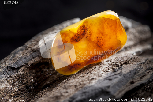 Image of Natural amber. A piece of yellow opaque natural amber on large piece of dark stoned wood.