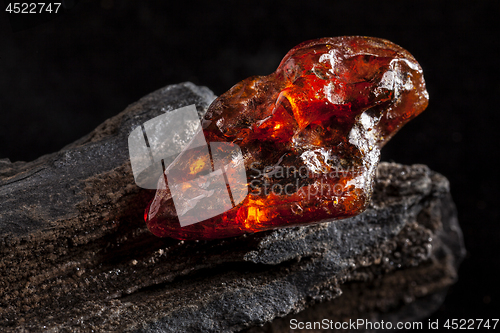 Image of Natural amber. A piece of yellow and red semi transparent natural amber on piece of stoned wood.