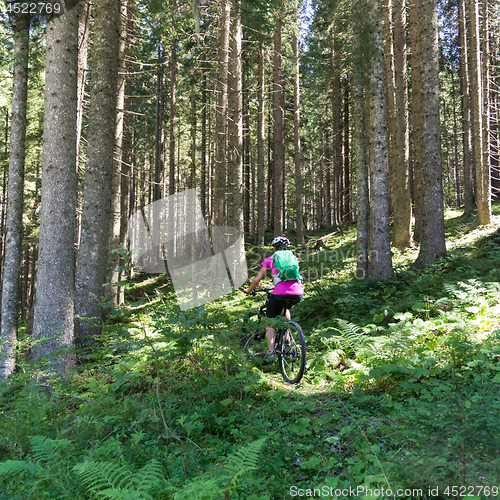 Image of Active sporty woman riding mountain bike on forest trail .