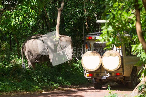 Image of Wild african elephant beeing observed by tourist from open roof jeep on wildlife safari.