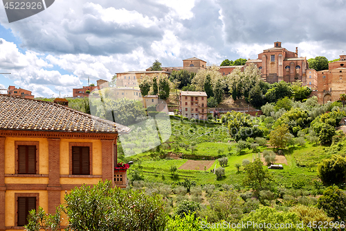 Image of Panoramic view of Siena, Italy