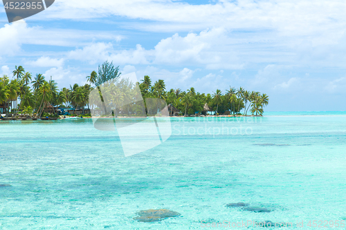 Image of palm trees and huts on beach in french polynesia