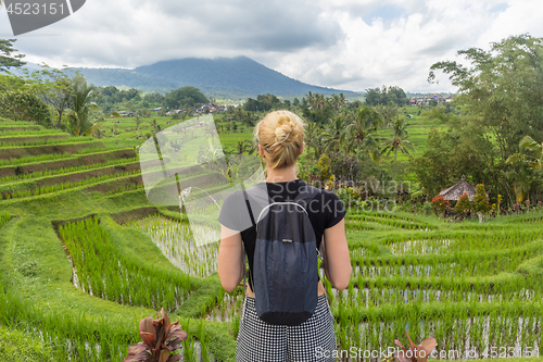 Image of Caucasian female tourist wearing small backpack looking at beautiful green rice fields and terraces of Jatiluwih on Bali island