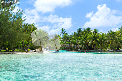 Image of bridge on tropical beach in french polynesia