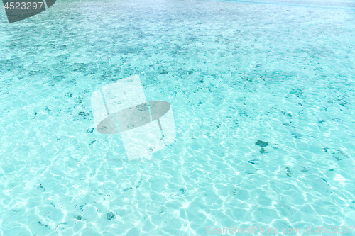 Image of turquoise sea water of tropical lagoon