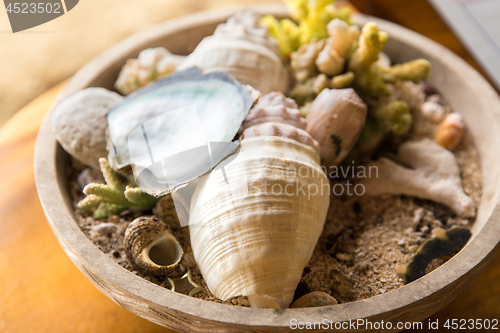 Image of close up of seashells and corals in bowl on table