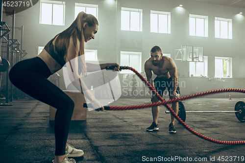 Image of Woman with battle ropes exercise in the fitness gym.