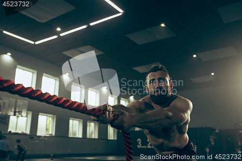 Image of Men with battle rope battle ropes exercise in the fitness gym.