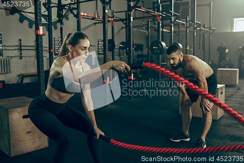 Image of Woman with battle ropes exercise in the fitness gym.