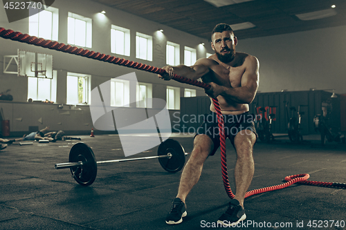 Image of Men with battle rope battle ropes exercise in the fitness gym.