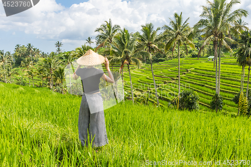 Image of Relaxed fashionable caucasian female tourist wearing small backpack and traditional asian paddy hat looking at beautiful green rice fields and terraces on Bali island