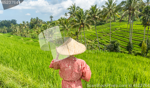 Image of Relaxed fashionable caucasian woman wearing red asian style kimono and traditional asian paddy hat looking at beautiful green rice fields and terraces on Bali island