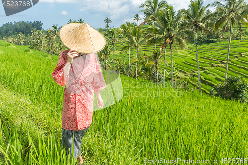 Image of Relaxed fashionable caucasian woman wearing red asian style kimono and traditional asian paddy hat walking amoung beautiful green rice fields and terraces on Bali island