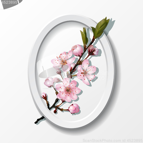 Image of Branch of pink sakura cherry flowers in frame