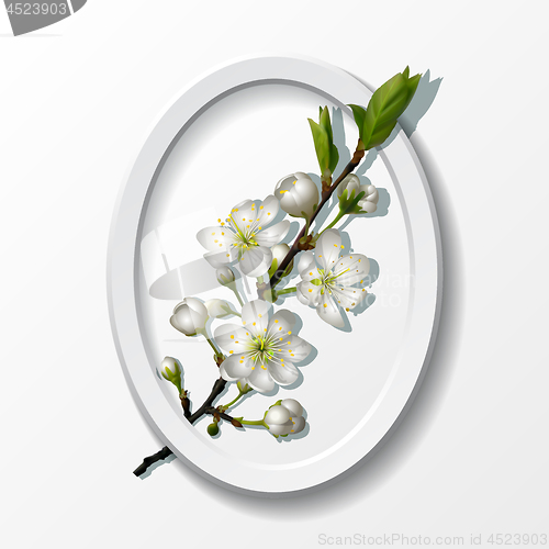 Image of Branch of white cherry flowers in paper frame