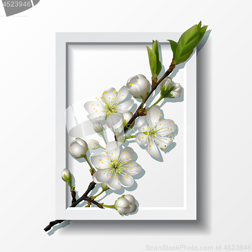 Image of Branch of white cherry flowers in paper frame