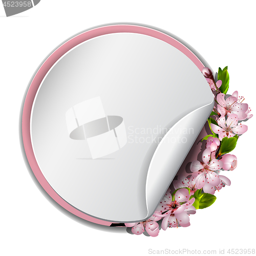 Image of Round frame with sakura blossom.