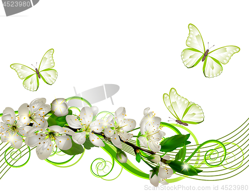 Image of Blossoming cherry branch with white flowers